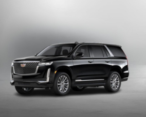 VIP Limo Service in Minneapolis