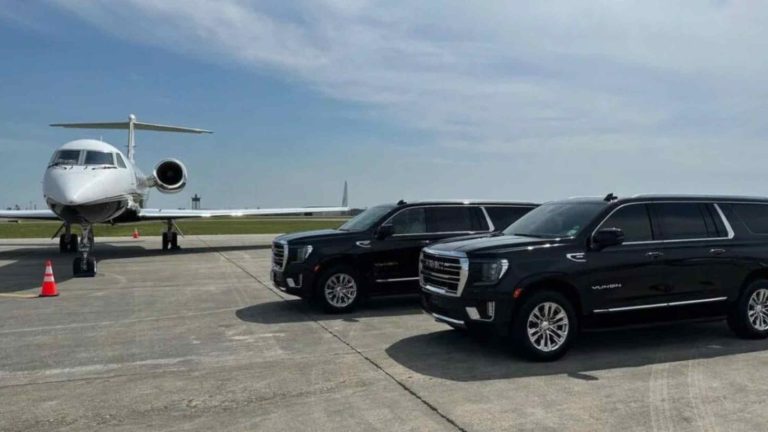 twin cities limousine services